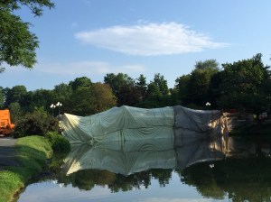 The Bridge, Washington Park's oldest structure, is getting a facelift and repairs. 
